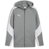 Image de Puma-sweatjack TeamEVOSTRIPE Hooded Jacket 659947