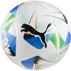 Image de Puma Cumbre Conmebol Libertadores Ms Voetbal Wit 5