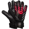 Image de Trainingsdoelmannenhandschoenen adidas Predator