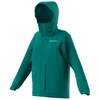 Image de Adidas Terrex Multi 2l Rain.rdy Insulated Jas Groen M Vrouw