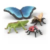 Image de Insecten ontdekkingsset