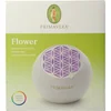 Image de Primavera Aroma fan flower 1 Stuks