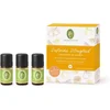 Image de Geschenkset Citrusgeuren 3 x 5 ml Primavera
