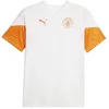 Image de Puma Manchester City Fc 23/24 Training T-shirt Met Korte Mouwen Oranje L Man,Vrouw