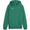 Image de PUMA teamGOAL Casuals hoody-sweatshirt voor kinderen 658619 groen