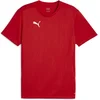 Image de Puma Teamfinal T-Shirt Heren - Rood | Maat: M