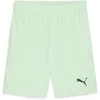 Image de Puma Sport Shorts TeamGoal Shorts 705752 Fresh Mint-Puma Black-L