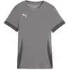 Image de Puma Damen TeamGoal Matchday Jersey Wmns 705749 Cast Iron-Puma White-Shadow Gray-S
