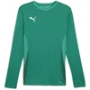 Image de Jersey met lange mouwen Puma TeamGoal