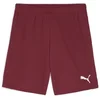 Image de Puma Sport Shorts TeamGoal Shorts 705752 Team Regal Red-Puma White-3XL