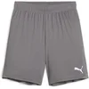 Image de Puma Kinder Sport Shorts TeamGoal Shorts Jr 705753 Cast Iron-Puma White-152
