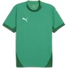 Image de Puma Teamfinal Shirt Korte Mouw Heren - Groen | Maat: L
