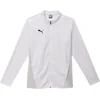 Image de Puma Teamgoal Polyestervest Heren - Wit | Maat: L