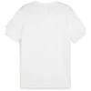 Image de Puma Shirt TeamGoal CasuaLongsleeve Tee 658615 Puma White-Puma Black-L
