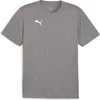 Image de Puma Teamfinal T-Shirt Heren - Grijs | Maat: M
