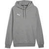 Image de PUMA teamGOAL Casuals hoody-sweatshirt voor heren, 658618 grijs