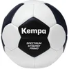 Image de Sportsbal Kempa