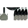 Image de Cordial Intro Multicore D-Sub/XLRm 8-voudig, Rean stekker, 5,0m - Analoge multicore kabel