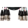 Image de Cordial Intro Multicore XLRf/XLRm 8-voudig, Rean stekker, 3,0m - Analoge multicore kabel