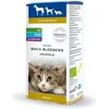 Image de Bach Rescue Pets Druppels (20ml)