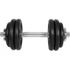 Image de Gyronetics Dumbell - 15 kg - Gietijzer - Verstelbaar in gewicht