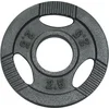 Image de Gorilla Sports Gewicht - Halterschijf - 2.5 kg - Gripper Gietijzer - 50/51 mm