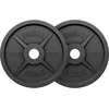 Image de Gorilla Sports Halterschijven Set - Bundel - 30 kg (2 x 15 kg) - Gietijzer - Zwart - 50 mm