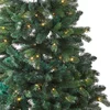 Image de LOBERON Kerstboom Helford groen