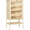 Image de PawHut Kleintierkäfig 5 Etagen mit Gitterdach Rampen Kleintierstall Käfig Nagerkäfig Meerschweinchenstall Tannenholz Naturholz 60 x 40 x 120 cm