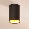 Image de Arcchio - plafondlamp - 1licht - Aluminium - H: 14 cm - GU10 - zwart, goud