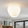 Image de Lindby - plafondlamp - 1licht - glas, metaal - H: 33.5 cm - E27 - wit, chroom