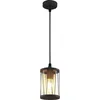Image de Lindby - Hanglampen buiten - 1licht - roestvrij staal, polycarbonaat - H: 20 cm - E27 - donkergrijs, helder
