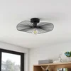 Image de Lindby - plafondlamp - 1licht - ijzer - H: 11 cm - E27 - mat zwart