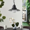 Image de Lindby - Hanglampen buiten - 1licht - Staal, glas - E27 - donkergrijs, helder