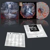 Image de Wings Of Steel - Gates Of Twilight (LP)