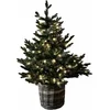 Image de LOBERON Sierboom Mantilly groen