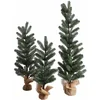 Image de LOBERON Sierboom set van 3 Merpins groen