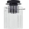 Image de Lucande - plafondlamp - 1licht - Glas, metaal - H: 25.5 cm - E27 - helder, zwart