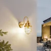 Image de Lindby - Wandlamp buiten - 1licht - Roestvrij staal, glas - H: 31 cm - E27 - messing, transparant