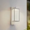 Image de Lucande - LED wandlamp buiten - 1licht - Aluminium, glas - H: 38 cm - wit, transparant - Inclusief lichtbron