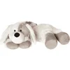 Image de Medical Hot Hond