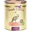 Image de Terra Canis Classic - Kalkoen met broccoli - 6 x 800 gram