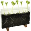 Image de Eduplay wortelhuis - educatief wormenhotel voor kinderen.