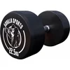 Image de Gorilla Sports Dumbbell - 22,5 kg - Halter - Vaste dumbell - Gietijzer
