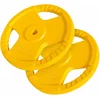 Image de Gorilla Sports Halterschijven 30 kg - 2 x 15 kg - Gripper Gietijzer met Coating - 30 mm