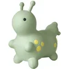 Image de Kindsgut - Skippydier - Rups - Hoge kwaliteit skippybal dier - Inclusief luchtpomp - Speelgoed 2 jaar