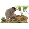 Image de Hansa Kiwi knuffel - snipstruisen - pluche - 28 cm