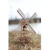 Image de Eco Wood Art Modelbouwpakket Windmolen - 3D Puzzel - Miniatuur Bouwpakket Volwassenen - DIY - Knutselen - Hout
