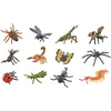 Image de COLLECTA Figurine Mini Set - 12 Insecten - Insecten - Handgeschilderd - Miniatuur