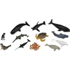 Image de COLLECTA Figurine Mini Set - 12 Zeedieren - Zeedieren - Handgeschilderd - Miniatuur